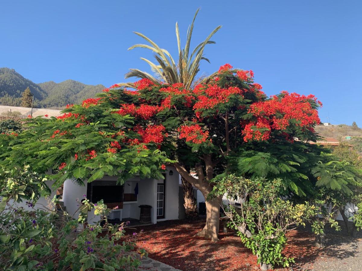 דירות לוס יאנוס דה אריאדנה Casitas Rosheli מראה חיצוני תמונה