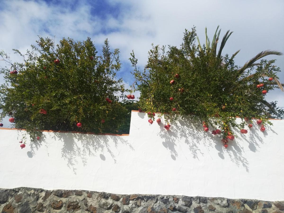 דירות לוס יאנוס דה אריאדנה Casitas Rosheli מראה חיצוני תמונה